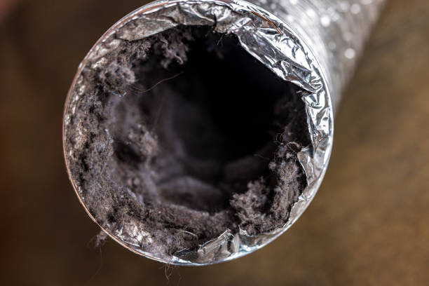 Best Air Duct Cleaning Company Near Me  in Johnston, IA
