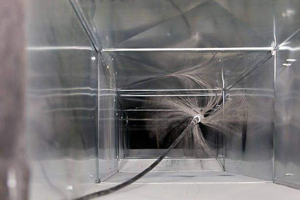 Best Air Duct Mold Removal  in Johnston, IA